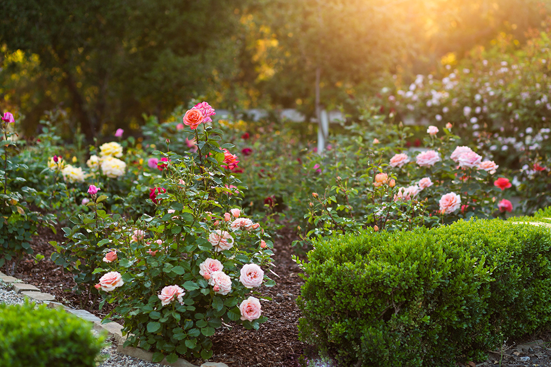 Designer Helene Aumonts Countryside California Home Harkening To France Lists For 5 8m Zzzzzz