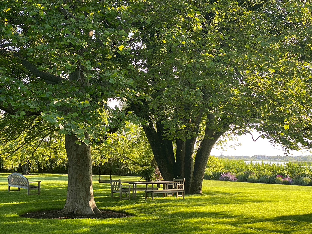 Tour An Ever Evolving Estate On Georgica Pond Chapter 4 5