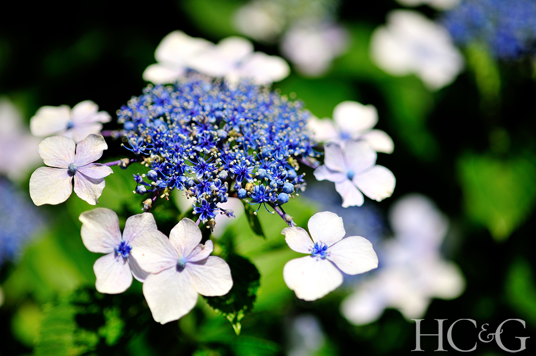 Shutterstock 1668763771