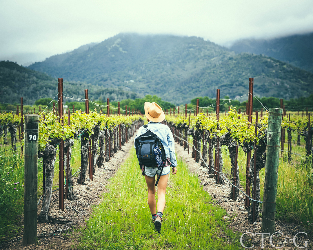 Spring Hike Vineyards Napa Valley