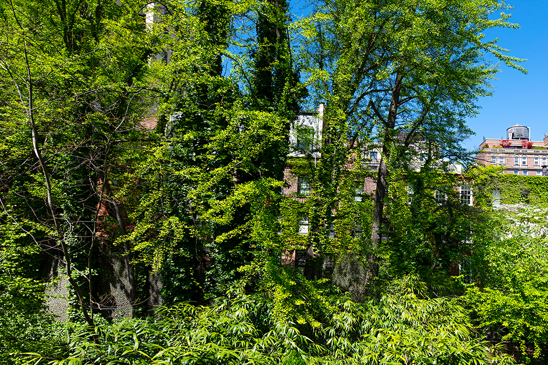 Interior Designer Muriel Brandolinis Eclectic And Unique Ues Townhouse Asks 9 5m P
