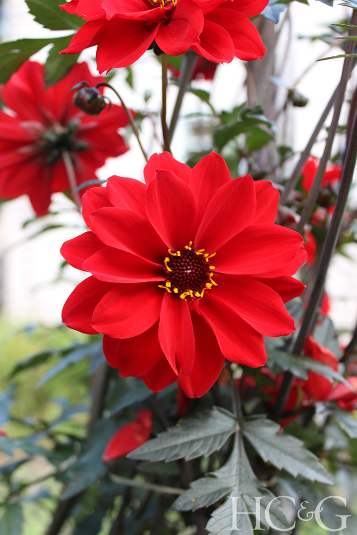 Bishopofllandaff2015byvanessa6