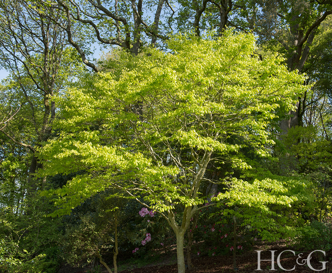 Shutterstock 1489791227