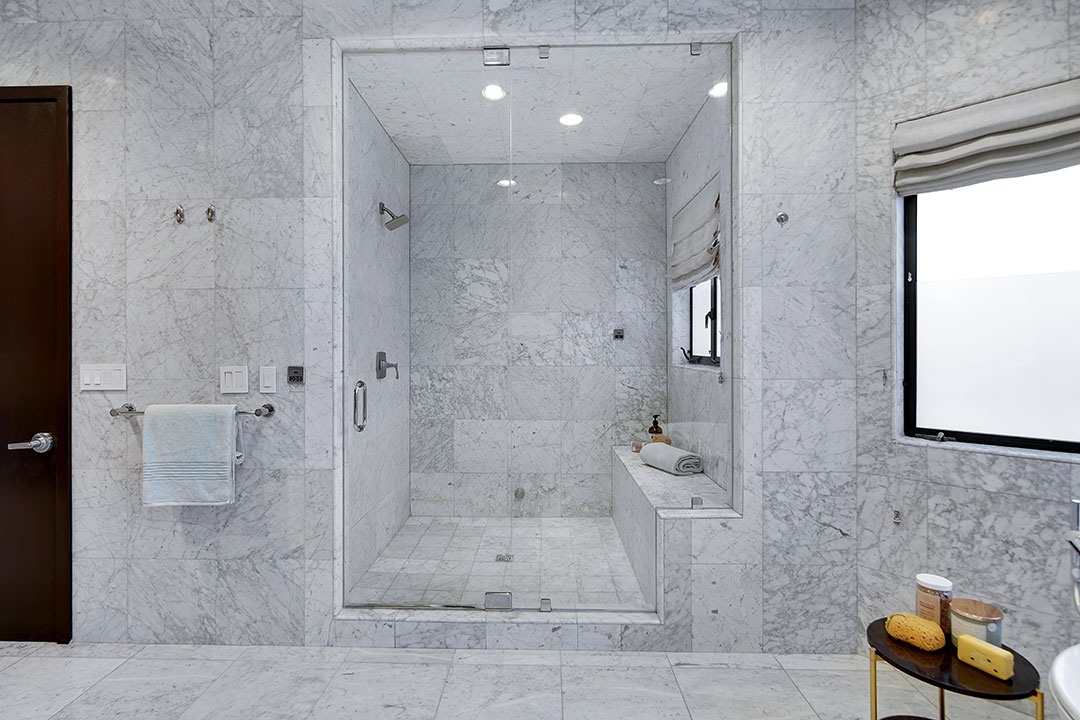 Hollywood Hills Primary Shower