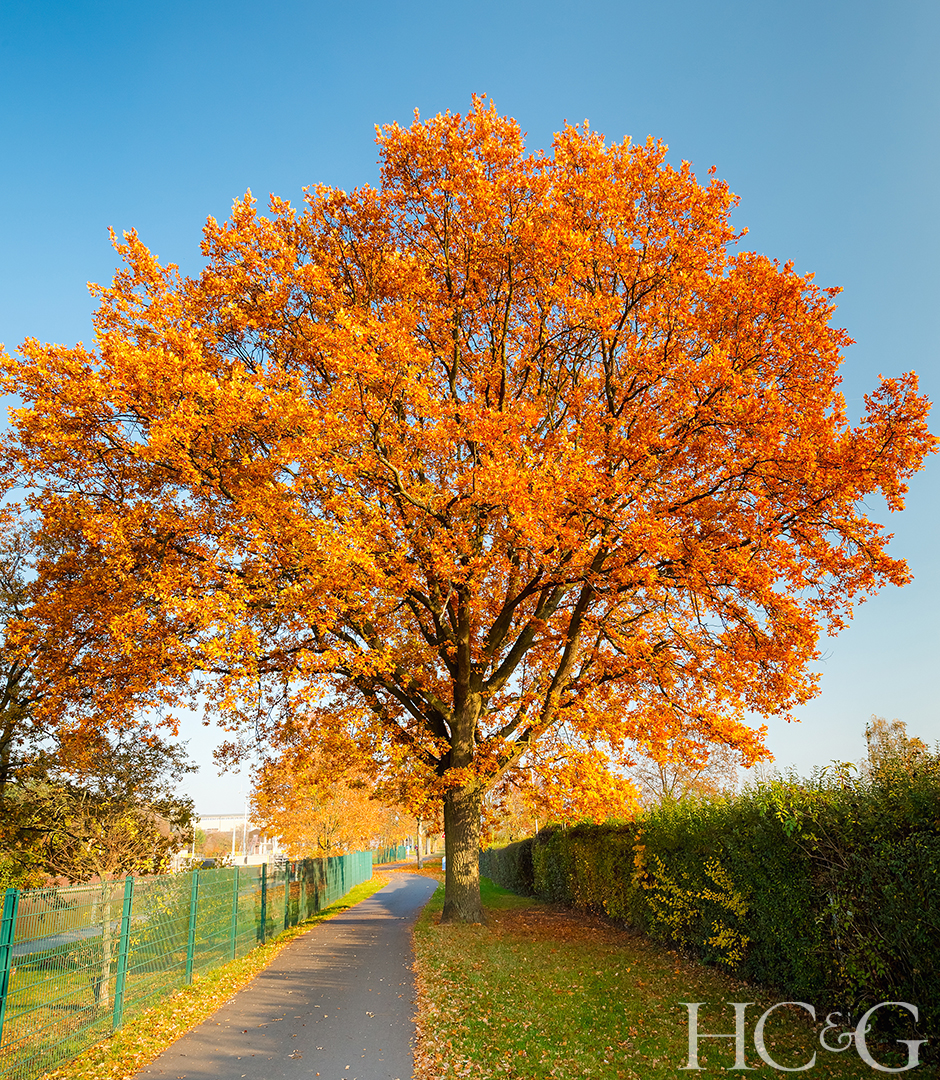 Shutterstock 111160184