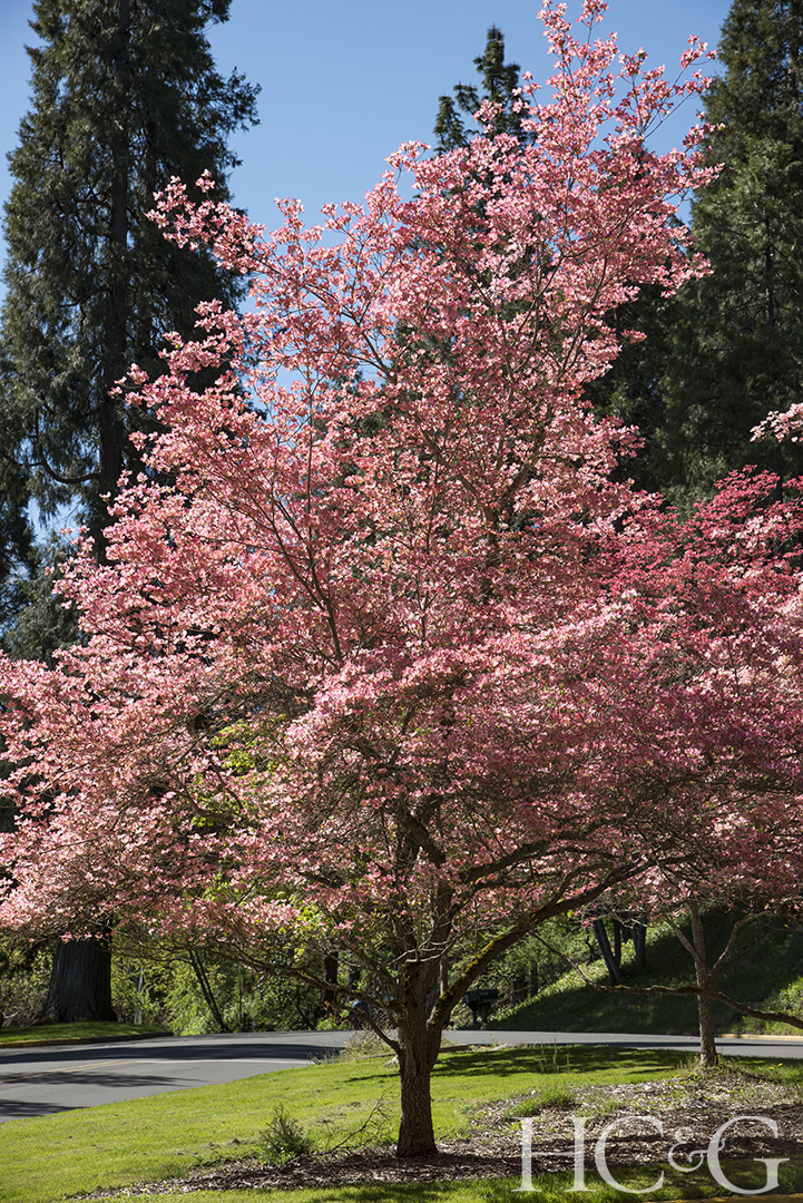 Shutterstock 636622966