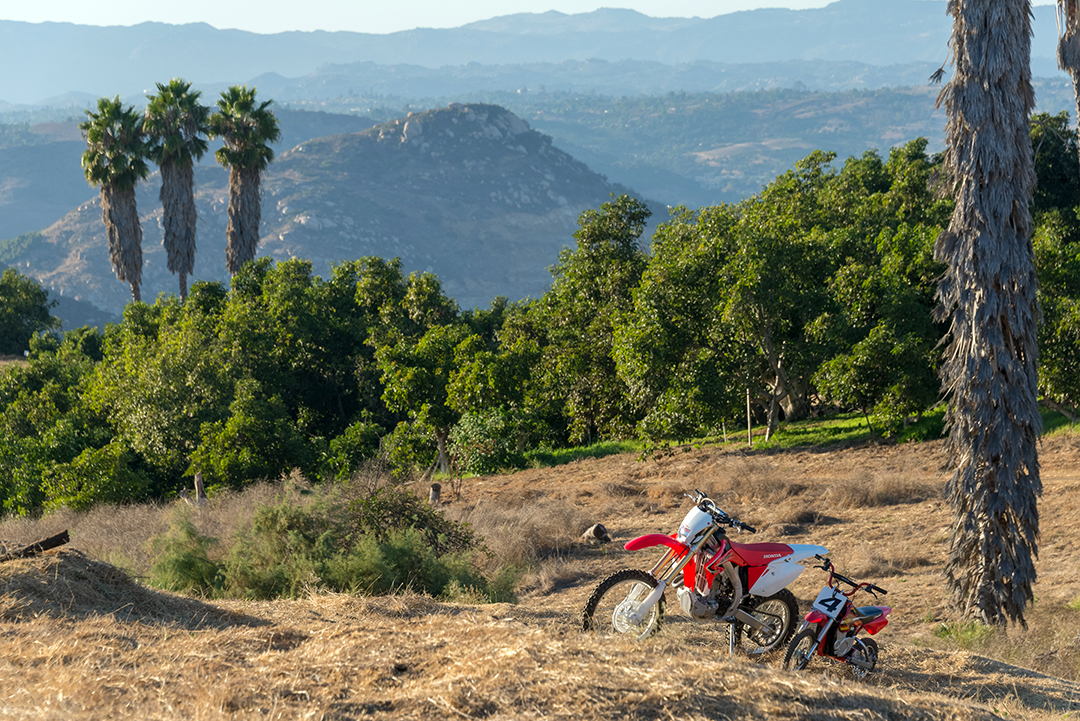 Sandra Bullocks 91 Acre Farm Oasis Outside Of San Diego Lists For 6m R
