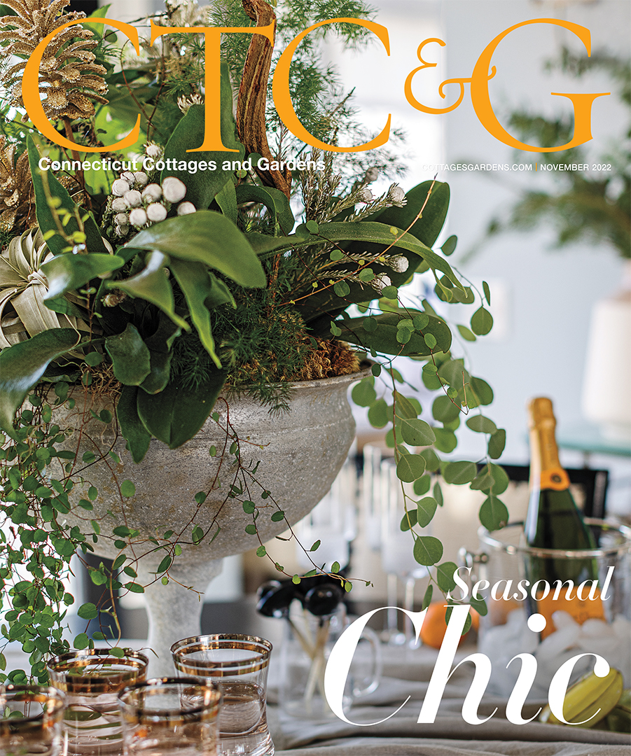 Ctcg Cover November 2022