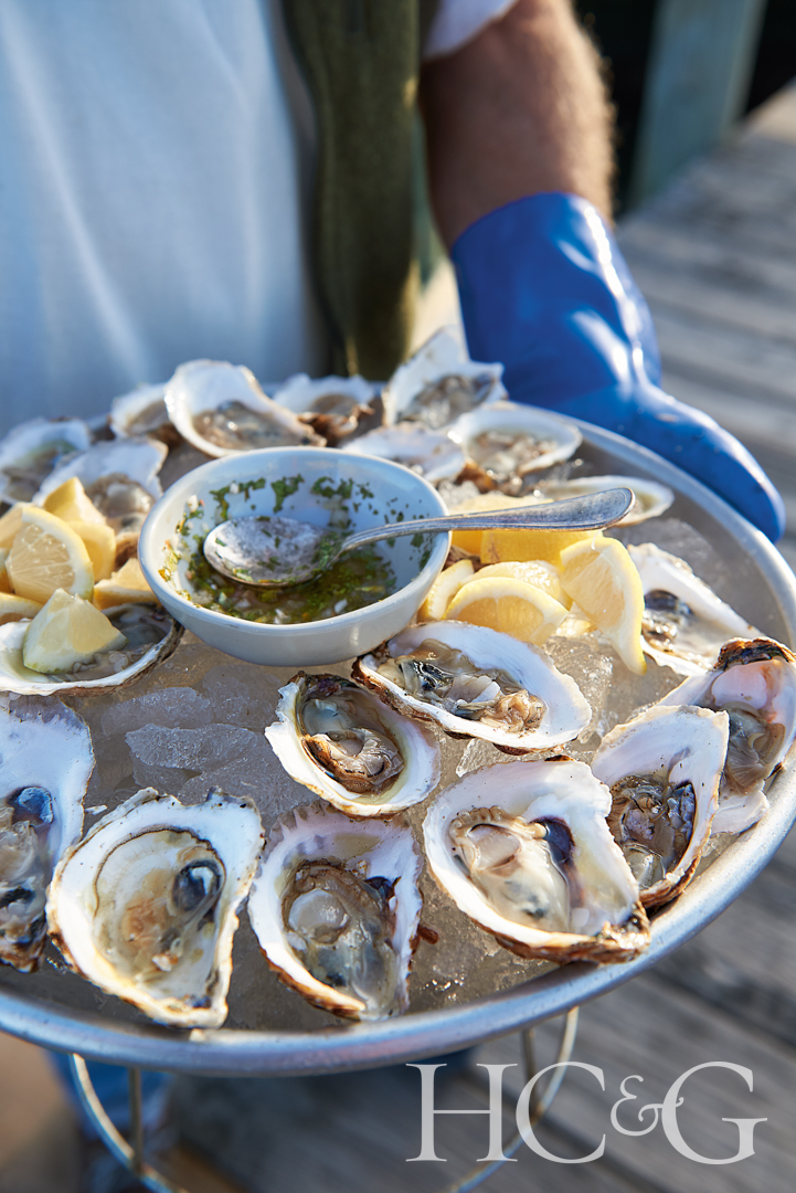 Oysterroast Dhy5106