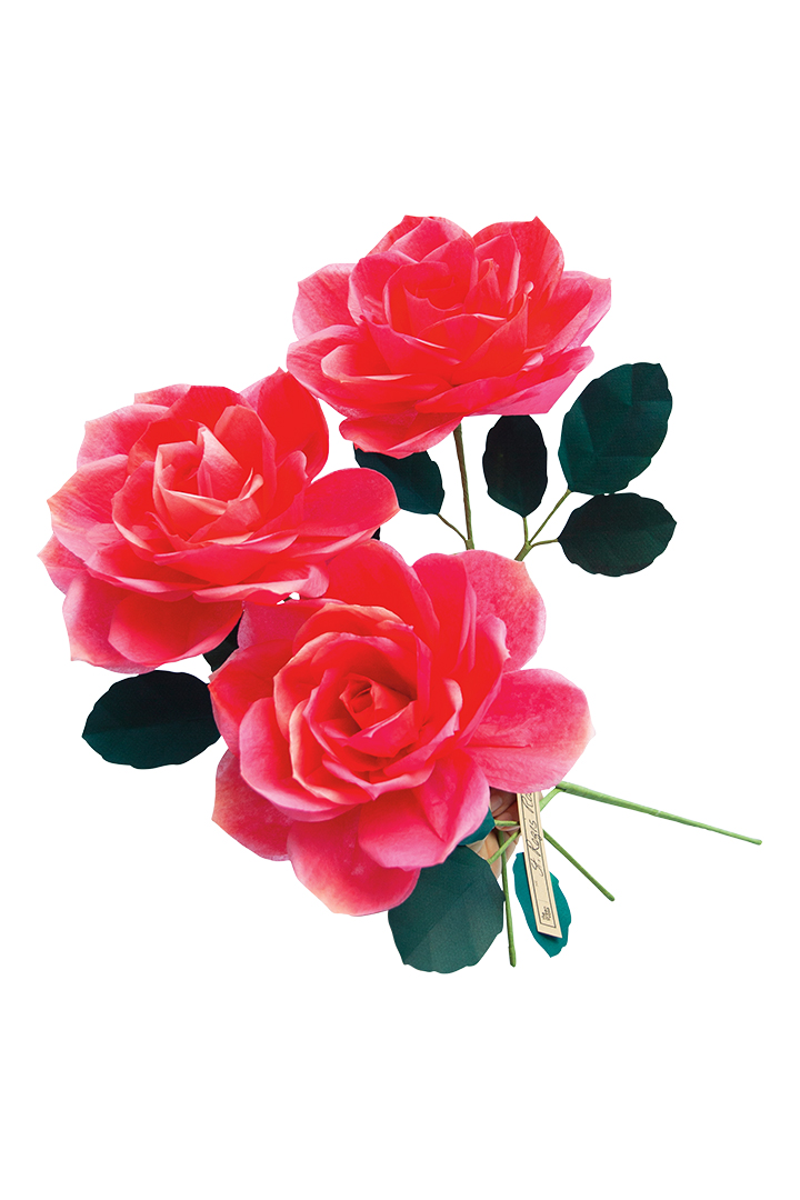 St Regis Rose Multi Stem Rough Silo
