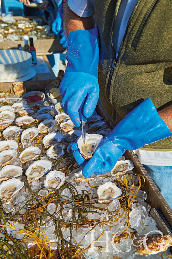 Oysterroast Dhy4411