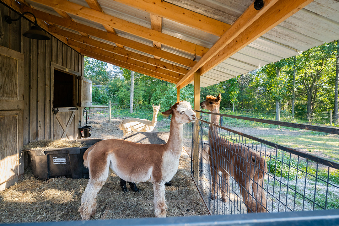 Tour A 2 5m Lakefront Compound In Vermont Where All Things Artistic Rustic And Bucolic Meet Yyyy
