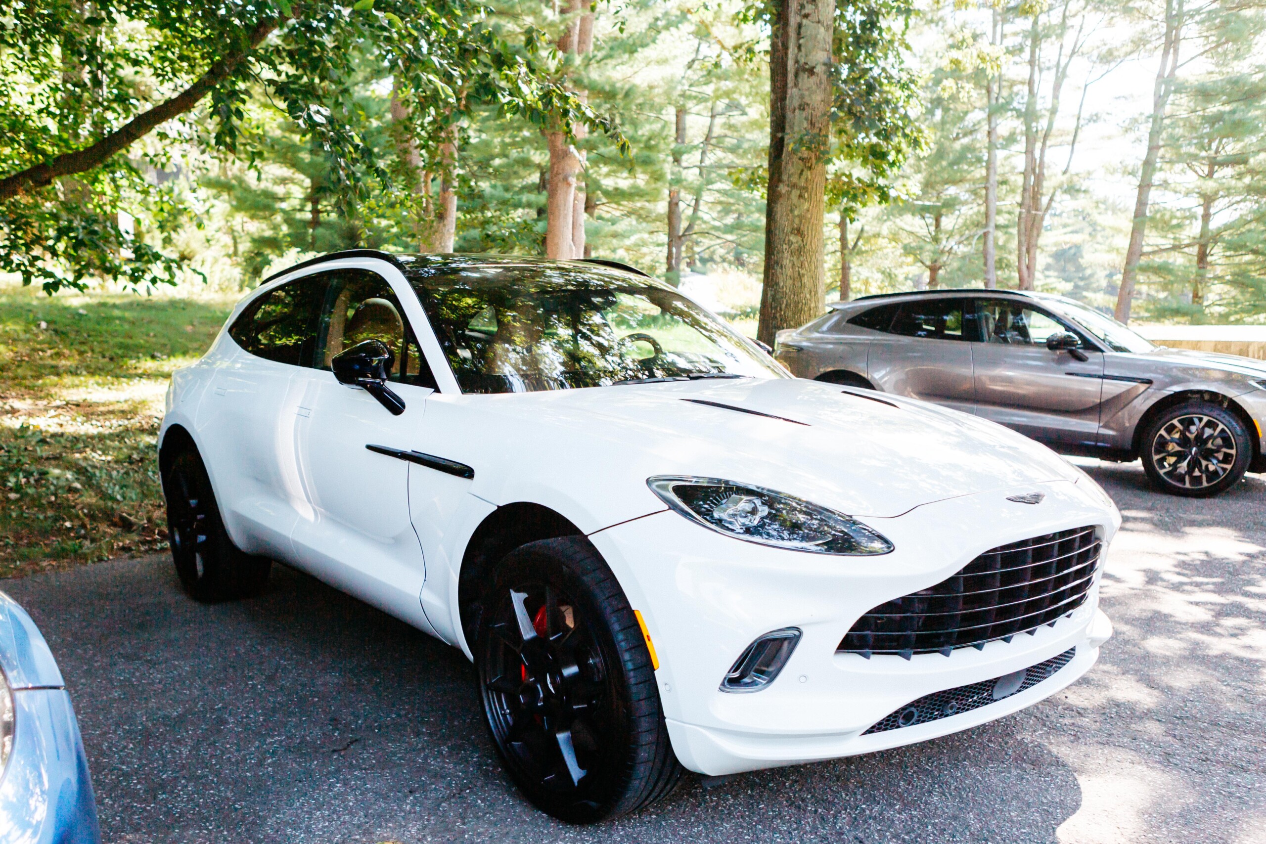 Savona Communications Aston Martin Bowmore Event 219