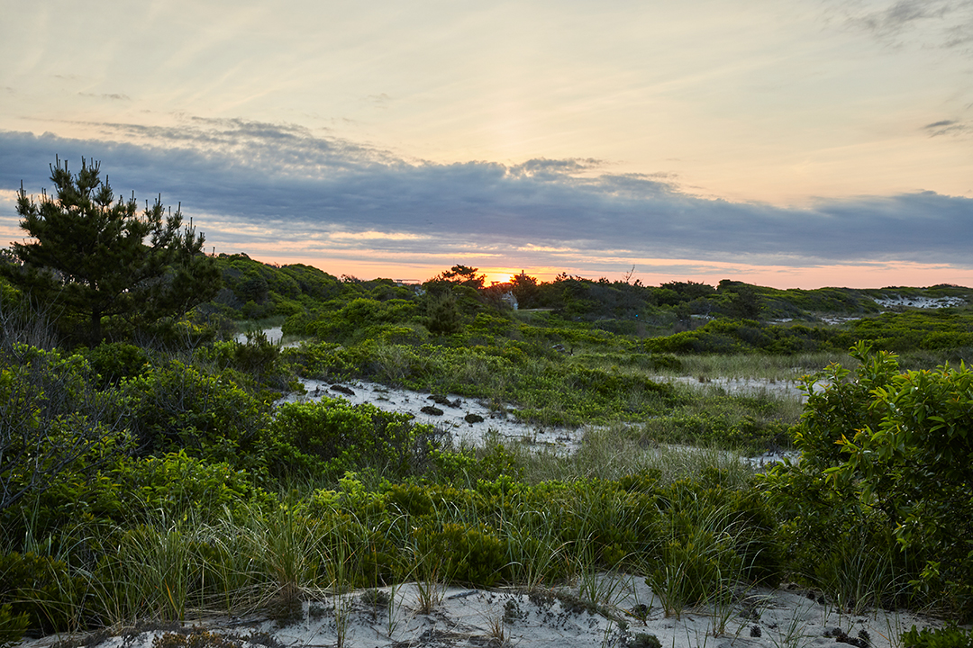 Fire Islands Famous Pyramid House With Cool Midcentury Vibes Is Available To Rent Or Buy4