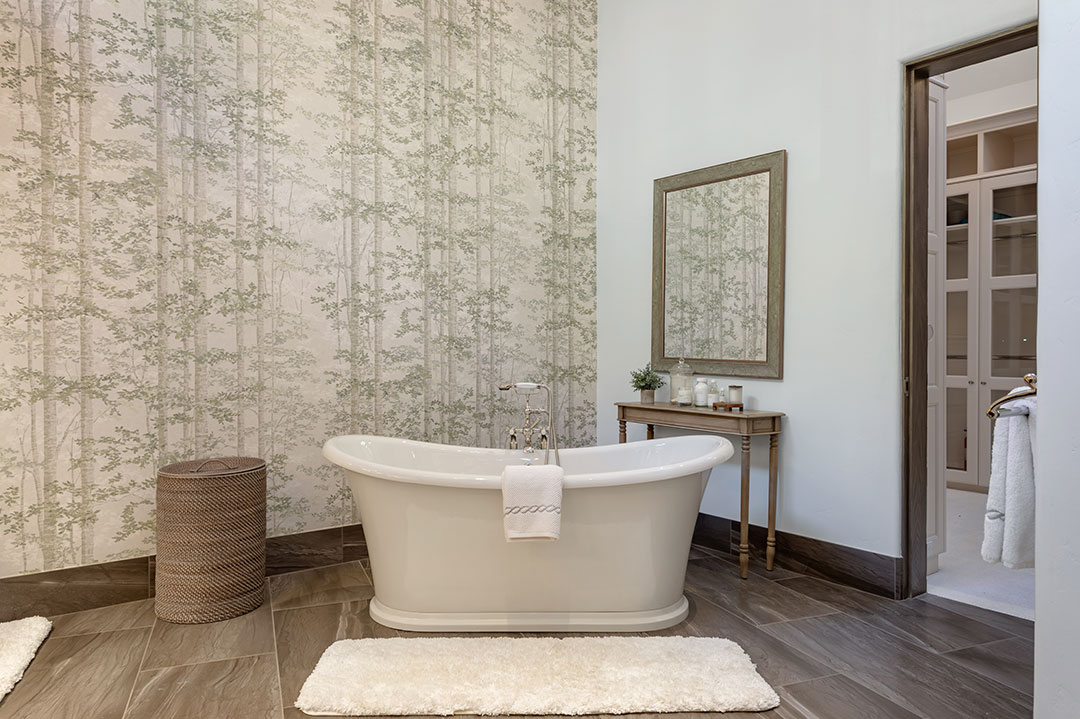 Vail Co Primary Bath Tub