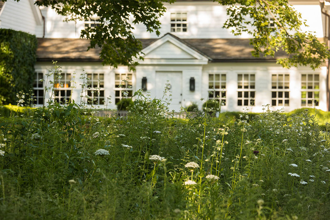 James Doyle Design Associates Launches Second Book