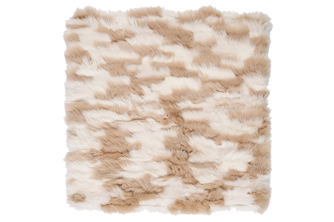 Talano Lines Ivory Camel 77833 3126