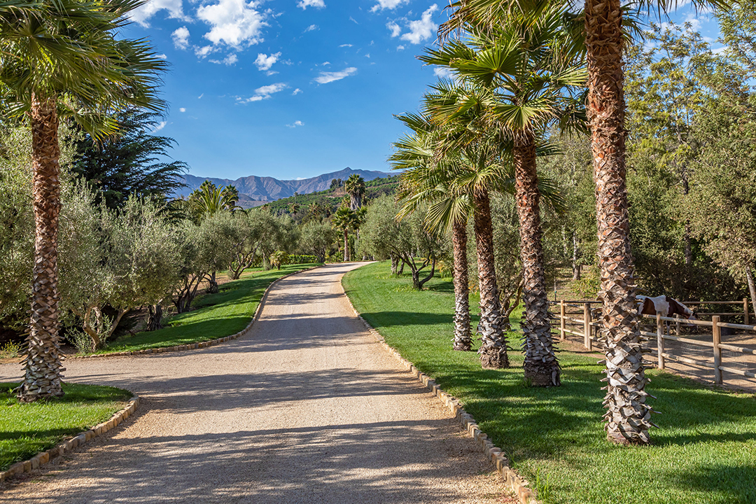 Prancing Horse Estate In California Is A Vision Of Romantic Mediterranean Style Seeking Almost 20m C