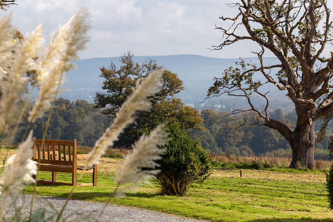 Listings To Love In Ireland Two Estates Where Majestic Landscapes Shine Longueville House 29