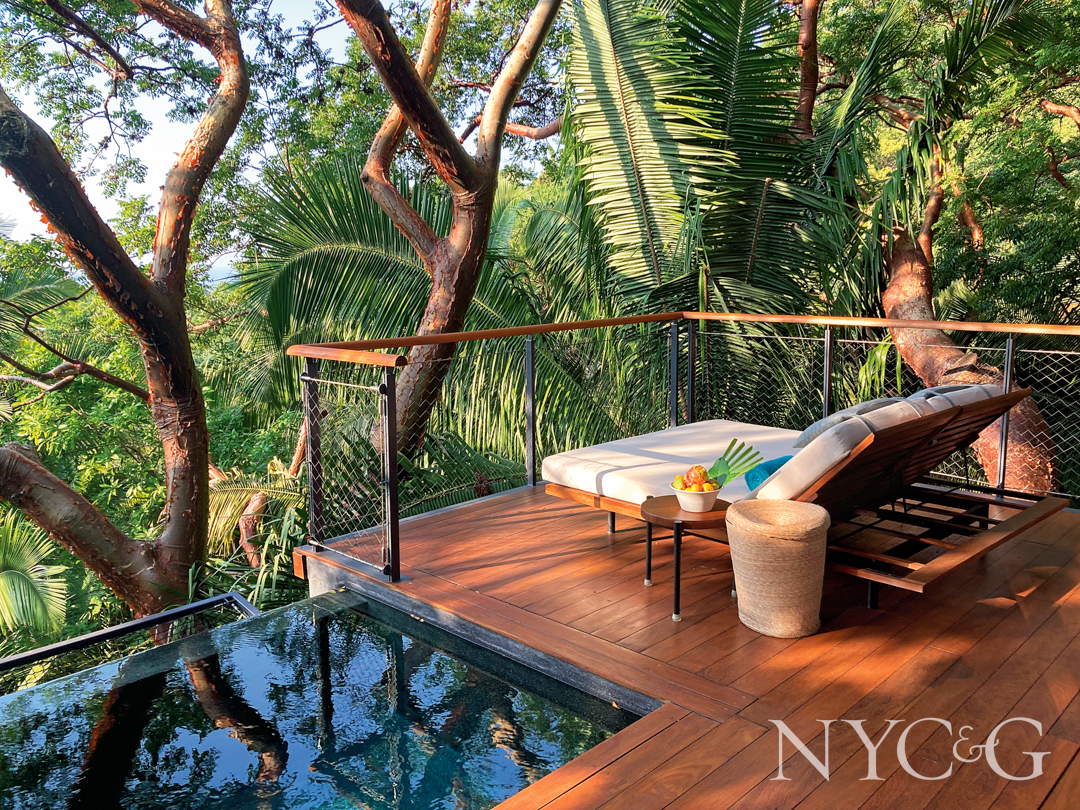 Treehouse Plunge Pool