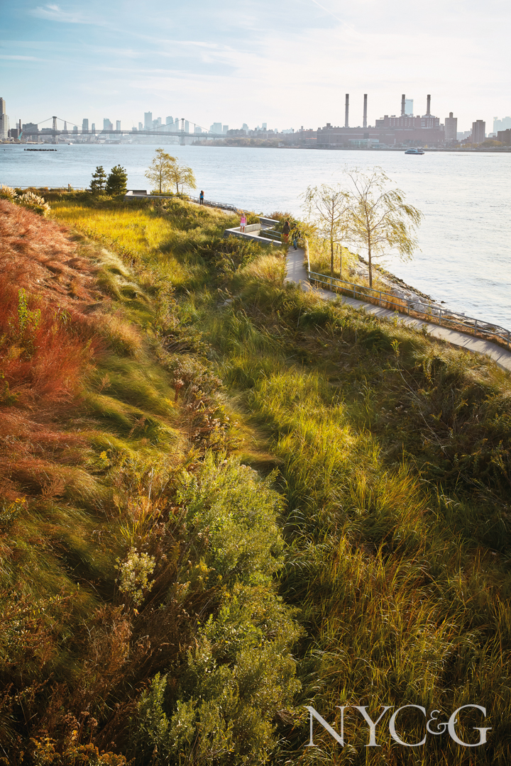 P245 Hutners Point South Park New York Green By Ngoc Minh Ngo