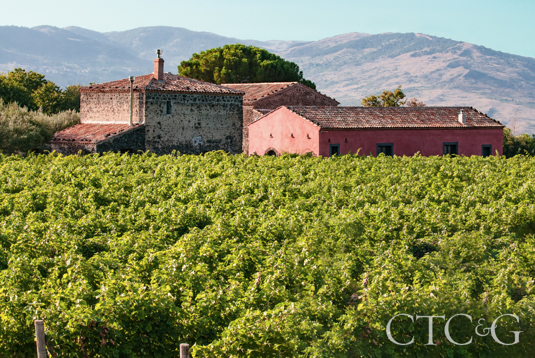 Planeta Etna Sciaranuova Vineyards 4