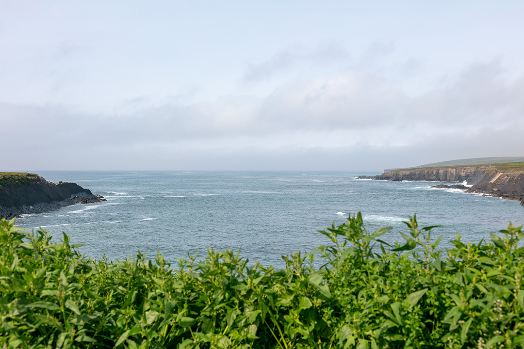 Listings To Love In Ireland Two Estates Where Majestic Landscapes Shine Dunmore Bay 58