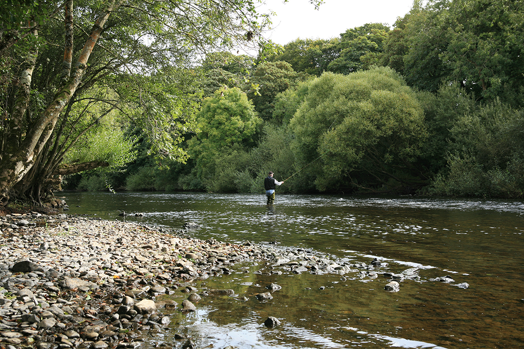 Listings To Love In Ireland Two Estates Where Majestic Landscapes Shine Longueville House 42