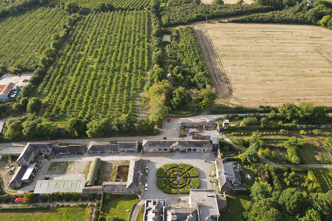 Listings To Love In Ireland Two Estates Where Majestic Landscapes Shine Longueville House 45