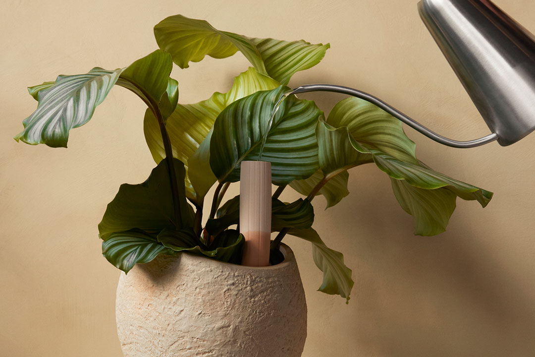 Gardening Sampler 2023