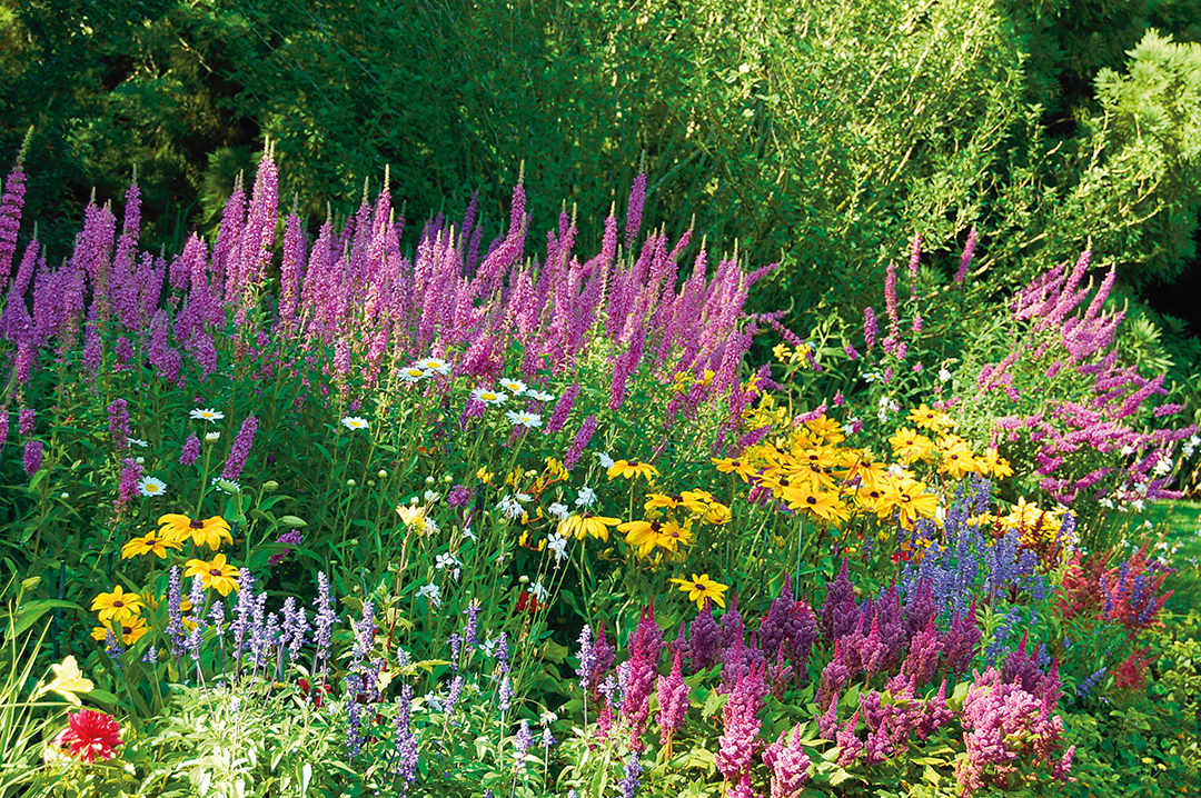 Gardens Galore 30 Years Of Colorful Landscapes From Designer Frederico Azevedo Of Unlimited Earth Care G