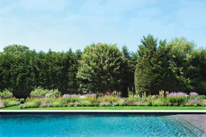 Gardens Galore 30 Years Of Colorful Landscapes From Designer Frederico Azevedo Of Unlimited Earth Care H