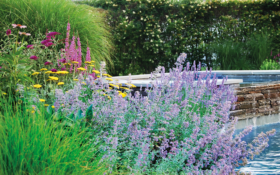 Gardens Galore 30 Years Of Colorful Landscapes From Designer Frederico Azevedo Of Unlimited Earth Care L