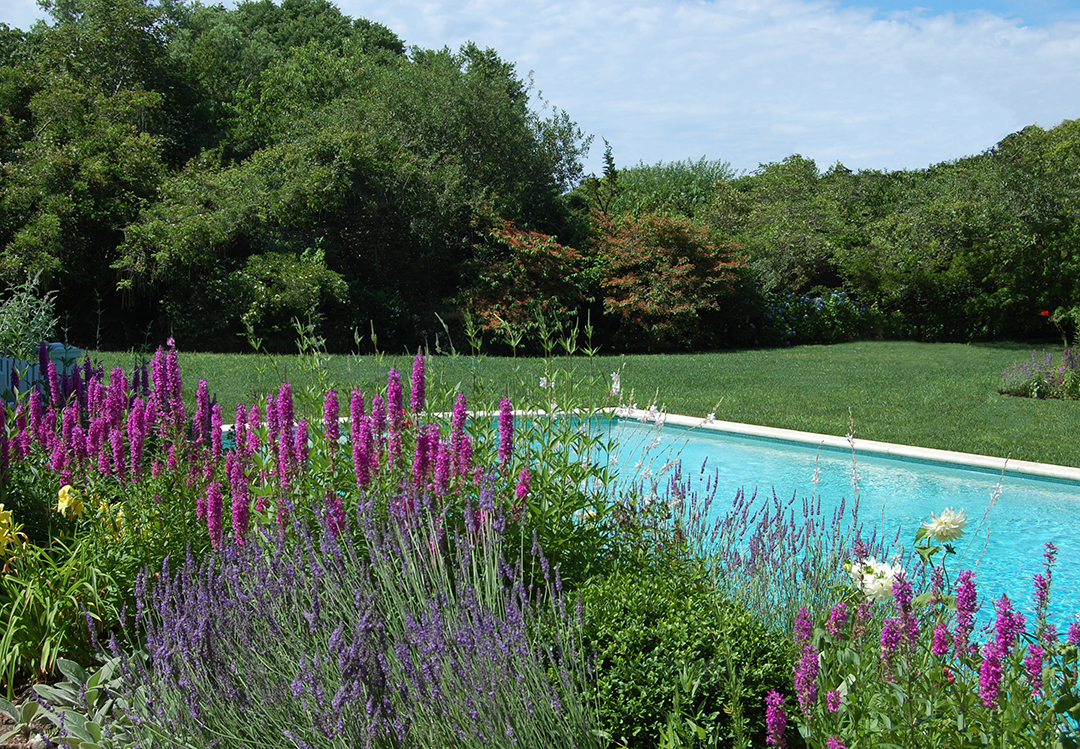 Gardens Galore 30 Years Of Colorful Landscapes From Designer Frederico Azevedo Of Unlimited Earth Care M