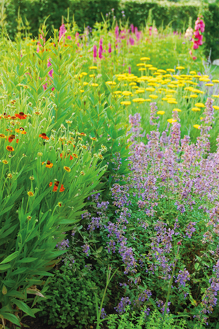 Gardens Galore 30 Years Of Colorful Landscapes From Designer Frederico Azevedo Of Unlimited Earth Care K