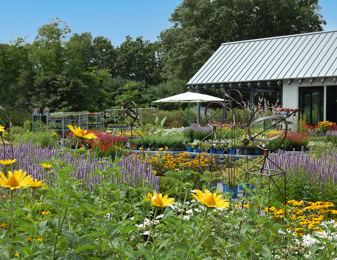 Gardens Galore 30 Years Of Colorful Landscapes From Designer Frederico Azevedo Of Unlimited Earth Care E