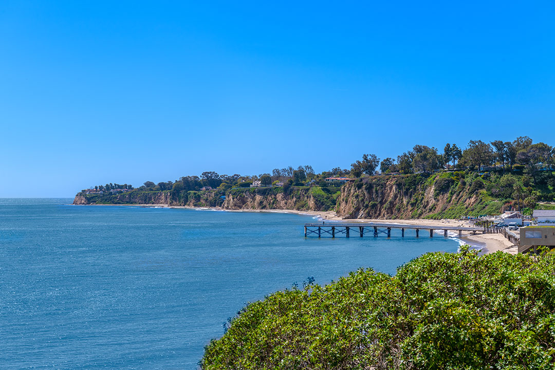 38 Chris Chelios View