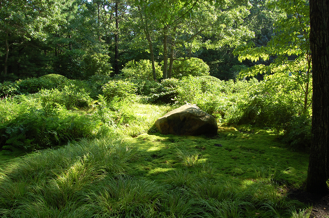 Gardens Galore 30 Years Of Colorful Landscapes From Designer Frederico Azevedo Of Unlimited Earth Care T