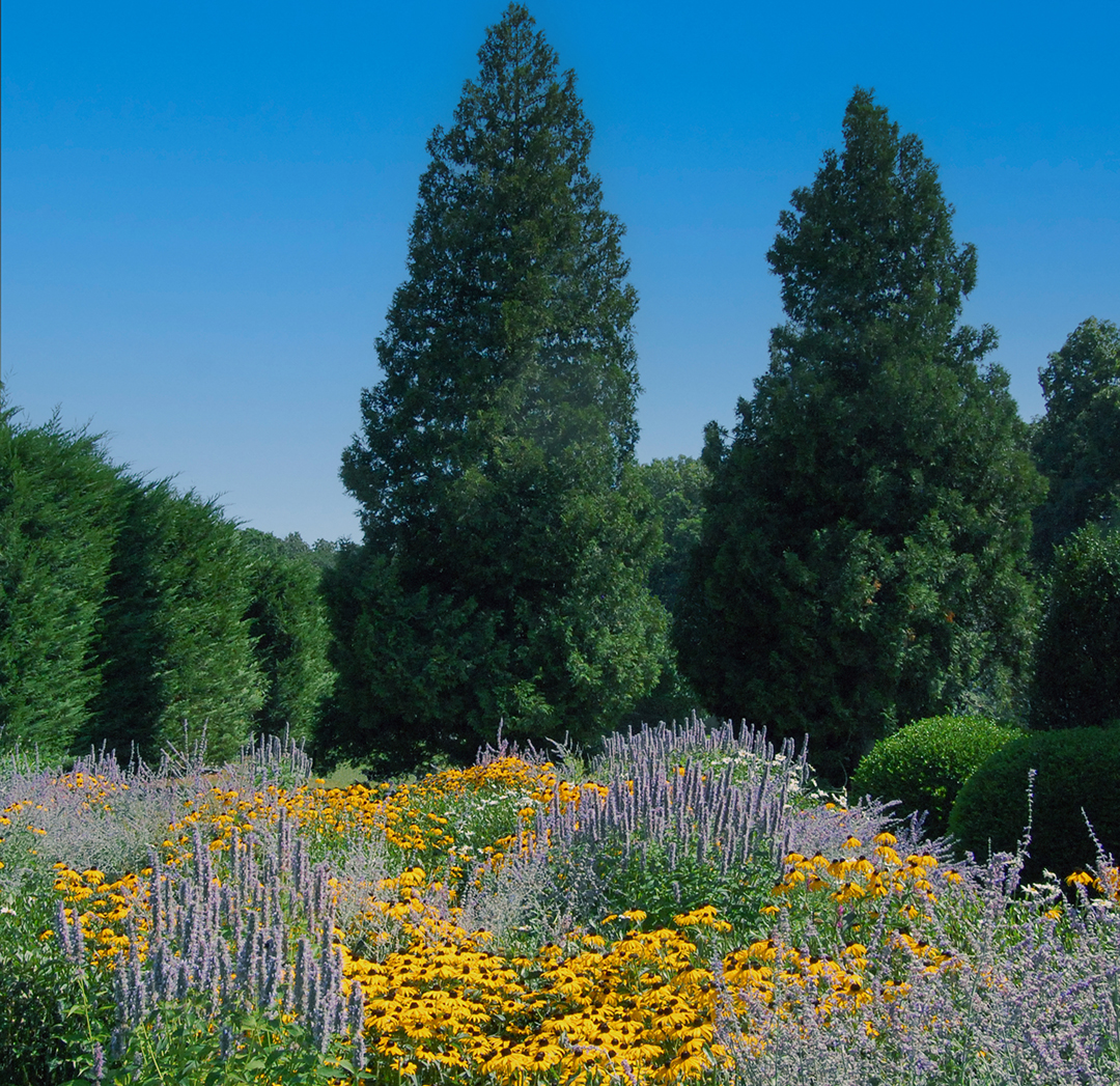 Gardens Galore 30 Years Of Colorful Landscapes From Designer Frederico Azevedo Of Unlimited Earth Care A