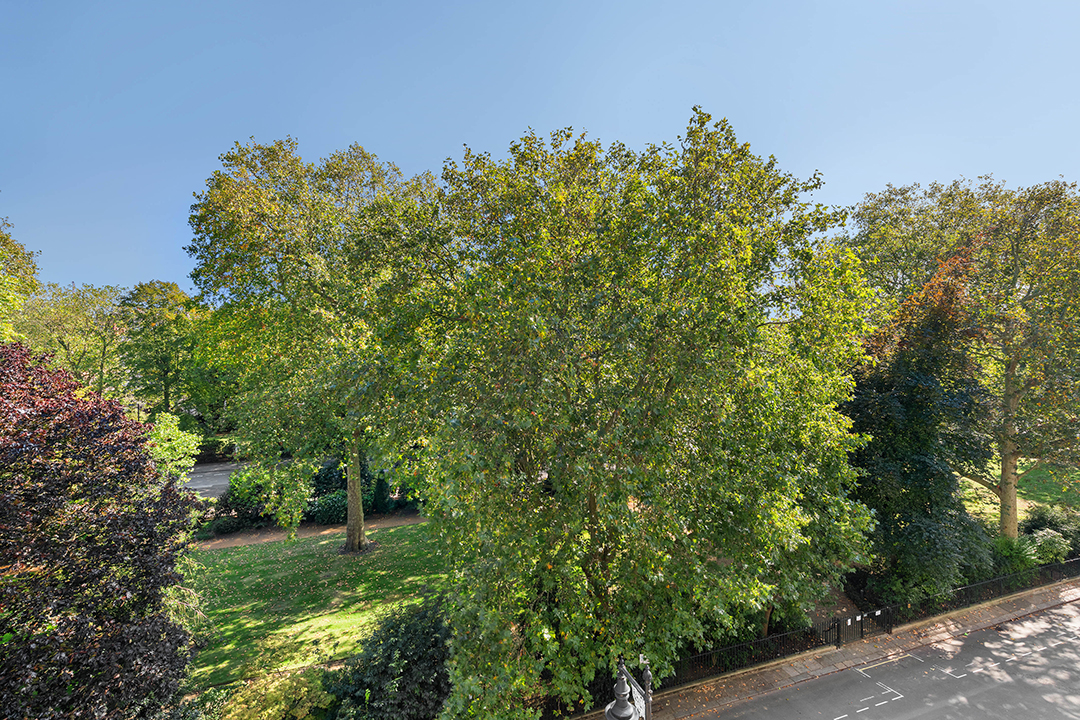 The Greek Royal Familys Former Eaton Square Mansion Seeks 39 5m Eatonsquareviewsfromhouseontogardens