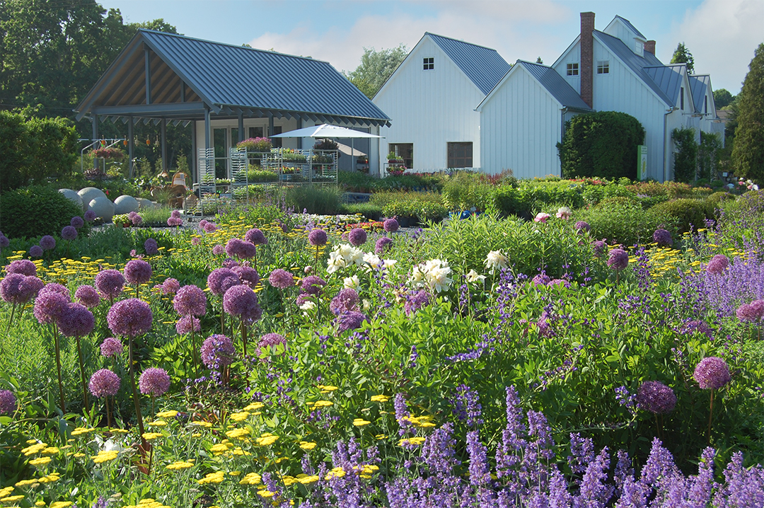 Gardens Galore 30 Years Of Colorful Landscapes From Designer Frederico Azevedo Of Unlimited Earth Care Q