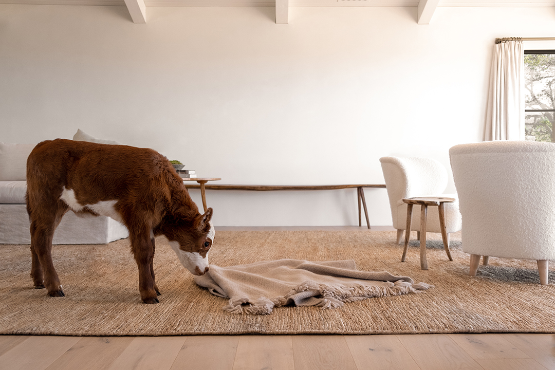 Designer Jenni Kayne Sells A Completely Reimagined Santa Ynez Stunner For Full Ask C