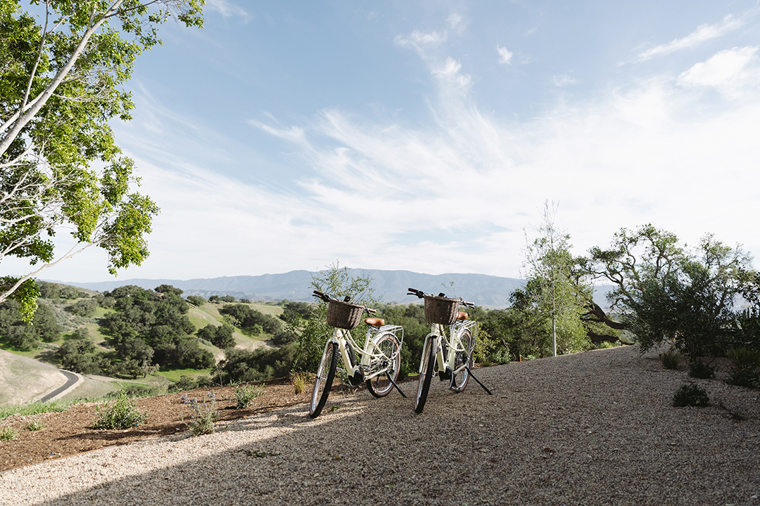 Designer Jenni Kayne Sells A Completely Reimagined Santa Ynez Stunner For Full Ask Zzzz