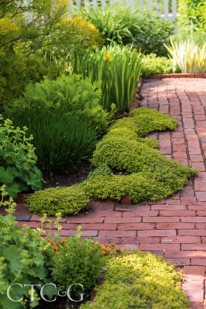 Hillman Brick Walkway