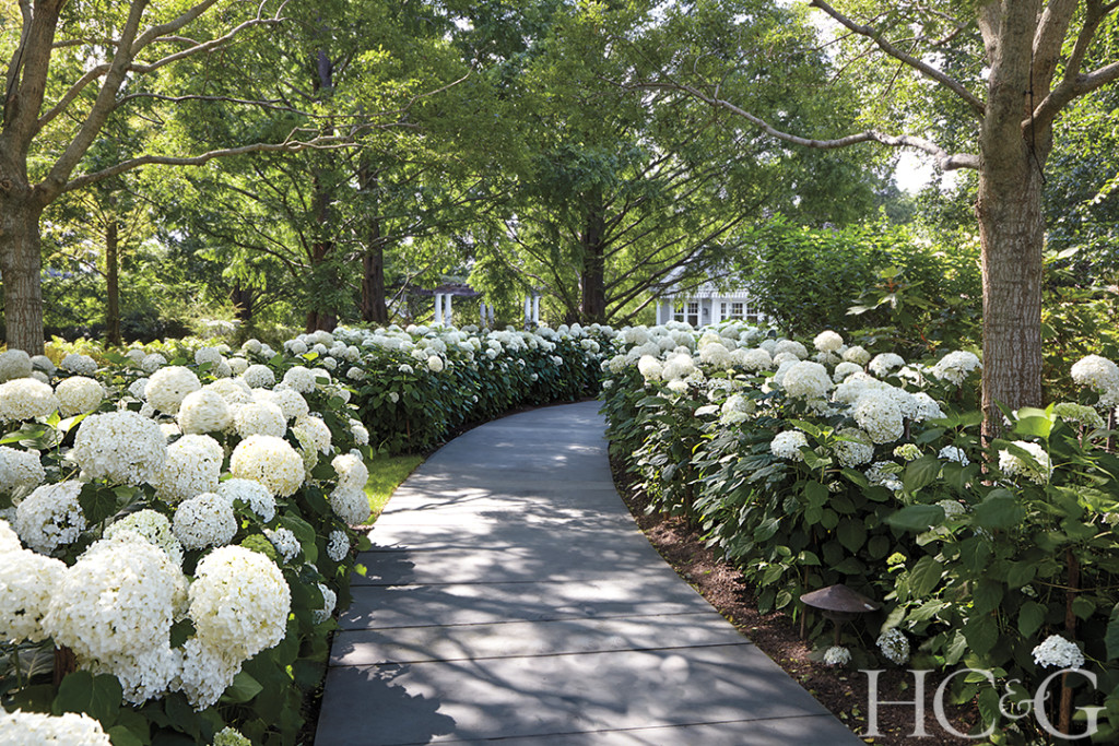 48674 Gruss Garden 35mm 044 1024x683