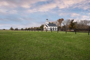 Thornbridge Hill Estate 48