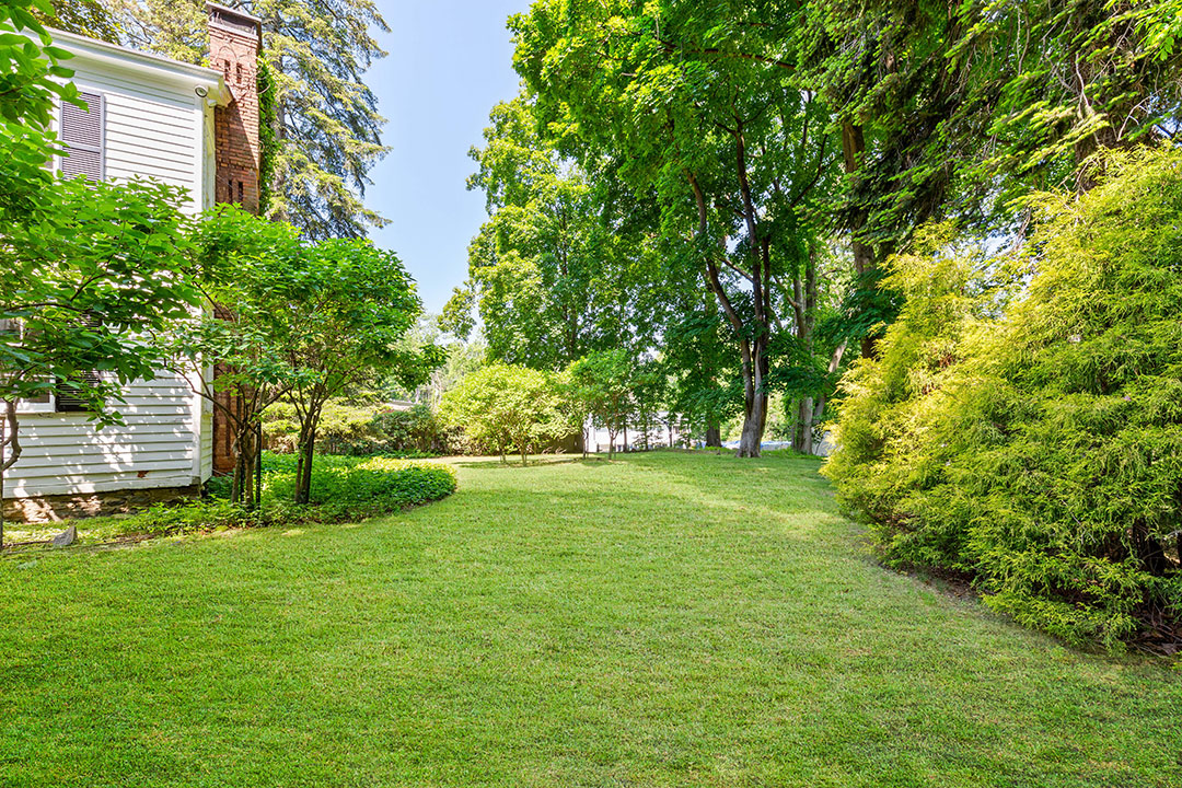 40 Andre Leon Talley Yard