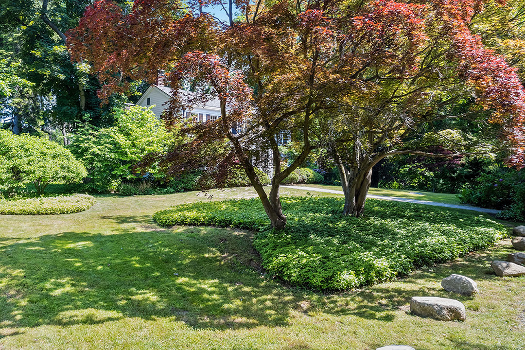 36 Andre Leon Talley Yard