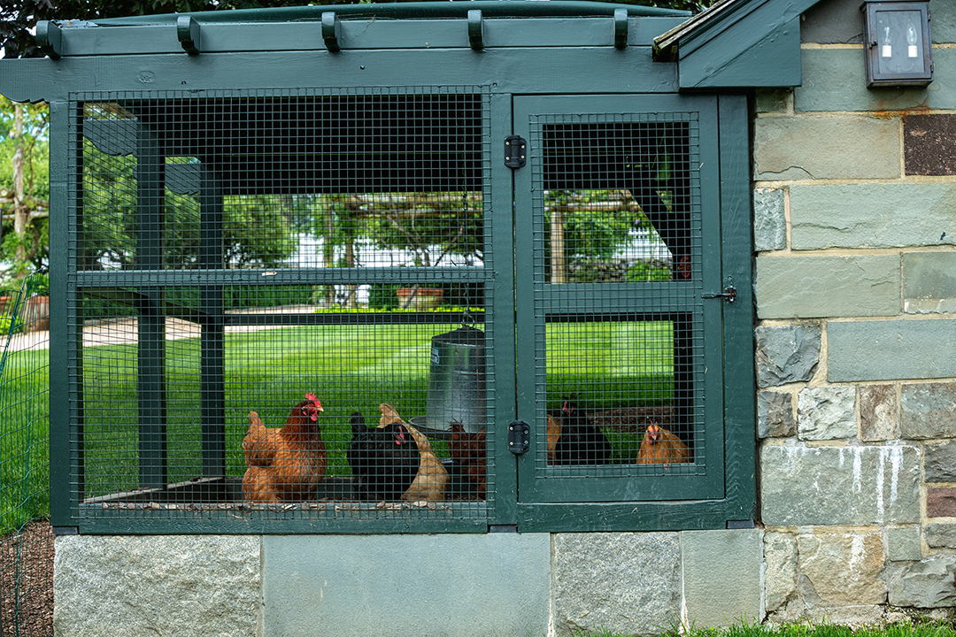 Susie Hilfiger Finally Sells Her Lovely Greenwich Estate In The Towns Biggest Sale Of 2023 So Far Www