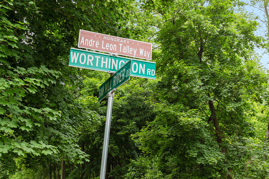 41 Andre Leon Talley Street Sign